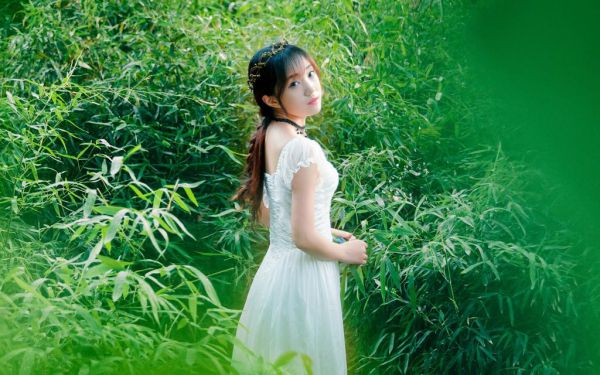 白苏凌盛擎全文最新章节免费阅读